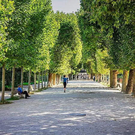 Service - En Face Du Musee - 5 Appartamento Parigi